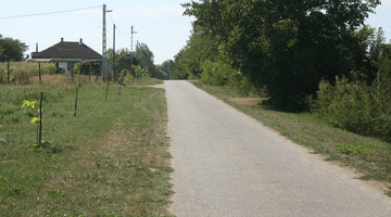 Road with trees in the Košice Region