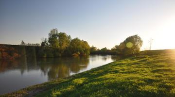 Timis River in sunrise