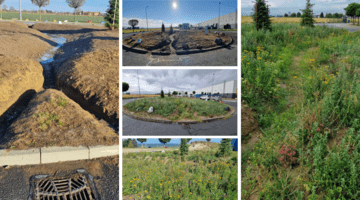 Water management