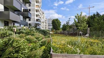 Building with greenery
