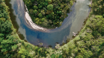 Drone Shot of a River