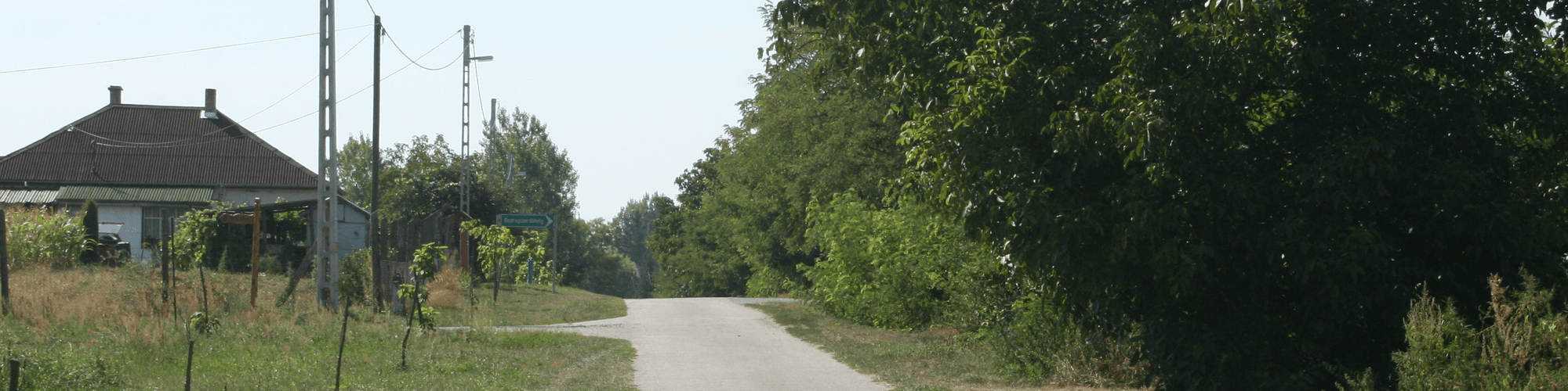 Road with trees in the Košice Region