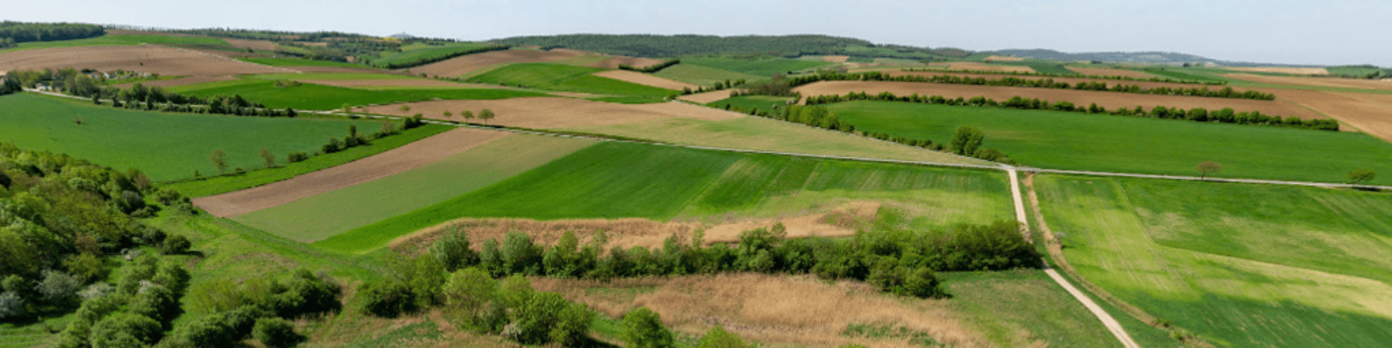 Field in Austria