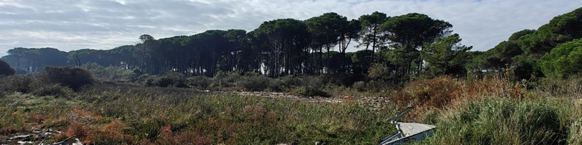Beach in Italy