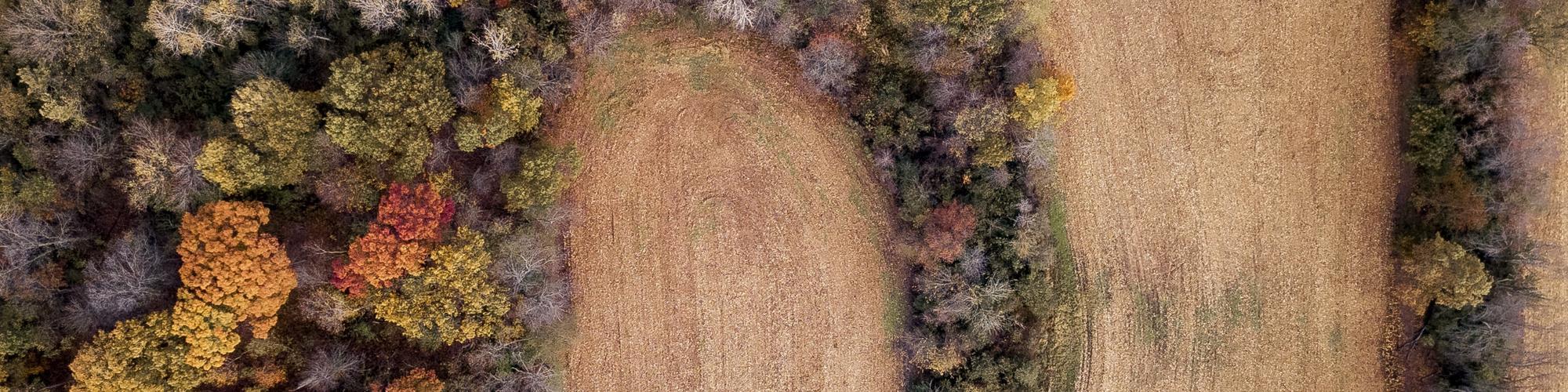 Areal shot of a field