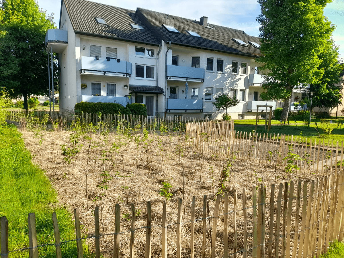 Tiny forest