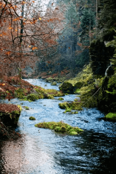 River in the mountains of Czech Republic