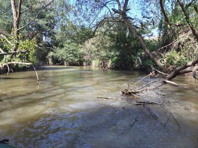 Flood