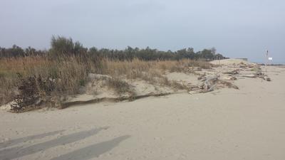 Sandy landscape at the Lower Po Delta