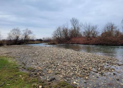 shore of the Lower Timis river