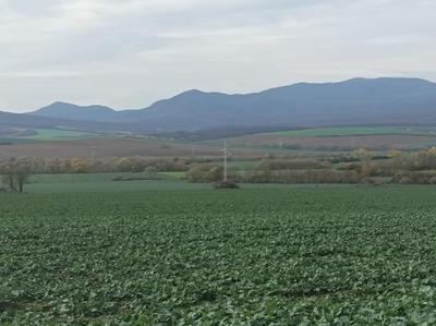 Field in the Ronava Region