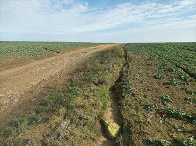 Field in the Ronava Region