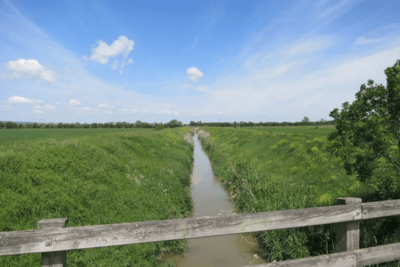 Small river in the Weinviertel